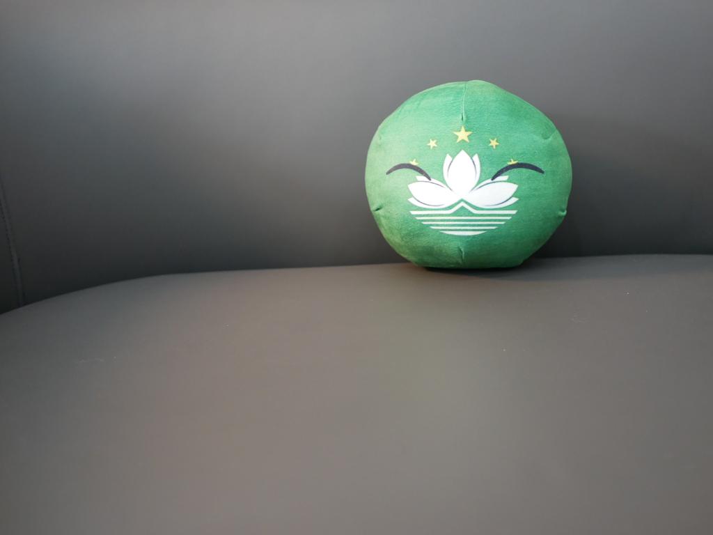 20/10cm Macao Polandball Plüschtier Countryball Stoffpuppe Anhänger Heimdekoration