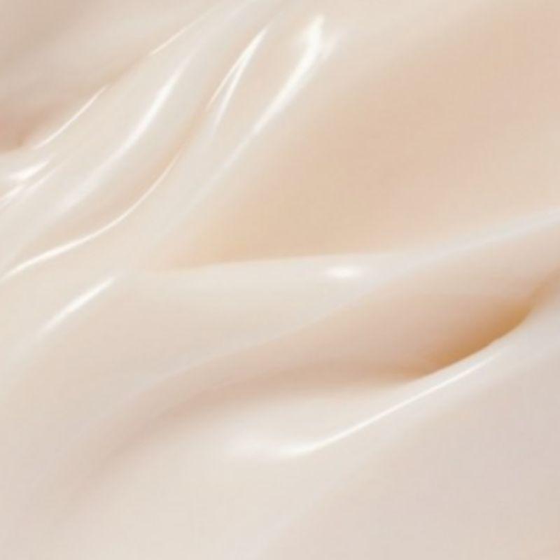[Vegan Beauty] Innisfree Collagen Green Tea Ceramide Cream (50ml, 1 Piece)