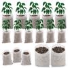 100Pcs Non Woven Nursery Bags Gardening Seedling Growing Bag Flower Plant Vegetable Seedling Cultivation Planter Ventilate Bags