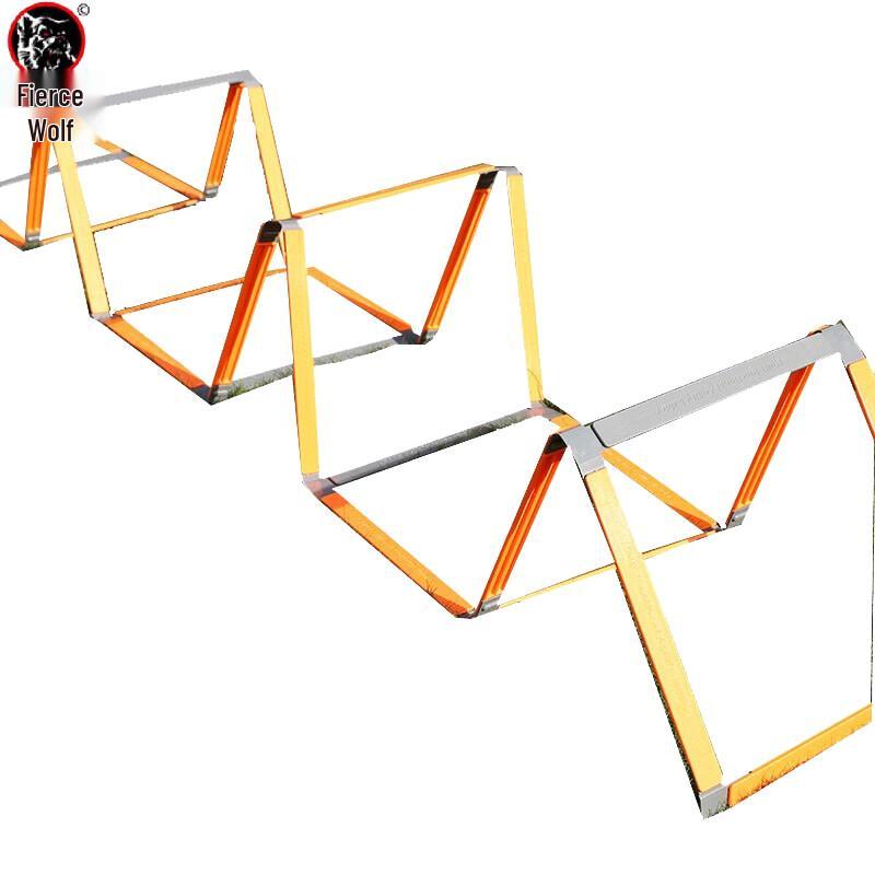 Agility Training Ladder