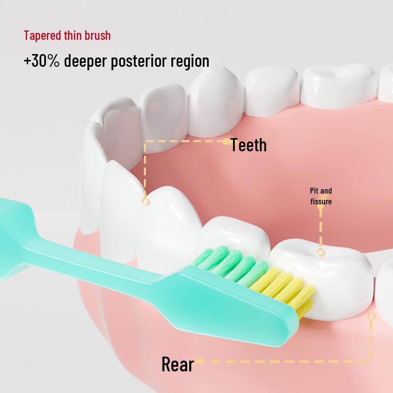 Premium Adult Soft Bristle Toothbrush, Set of 2 – Gum Care & Comprehensive Oral Cleaning, Retro Design