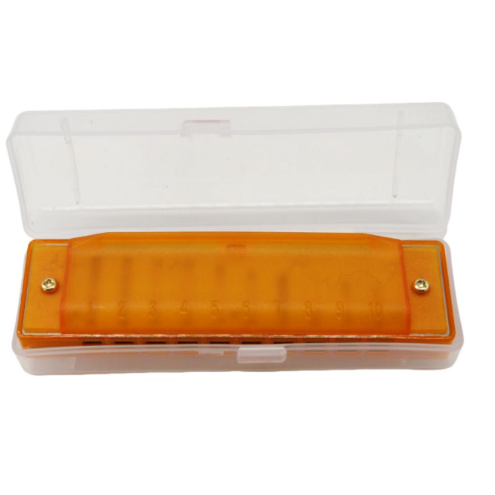 Bright Color 10 Hole Harmonica Translucent Mouth Organ Diatonic Harmonica  Young Learners