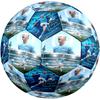Haaland Football Celebration Size 5 Football Machinestitched Indooroutdoor Universal Football For Football Accessories
