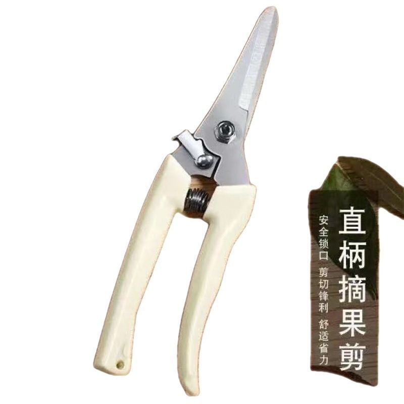Pruning Shears Stainless Steel Garden Clippers for Bonsai Flower Arrangement Grafting Heavy Duty Hand Pruner with Comfort Grip