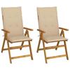 VidaXL Set of 2 Reclining Garden Chairs with Cushions, Patio Seats, Dining Chairs, Patio Furniture 3064062