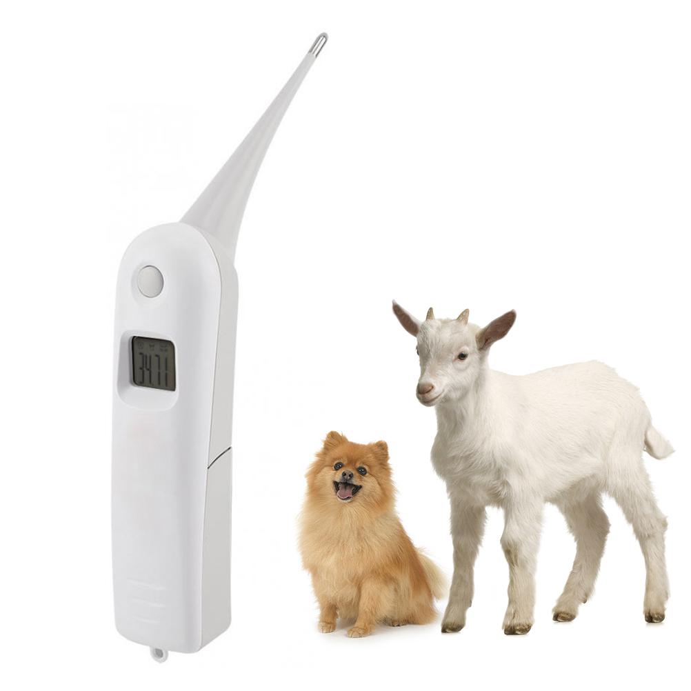 Tierarzt-Thermometer Haustier Digitales Thermometer Elektronisches Thermometer für Tiere