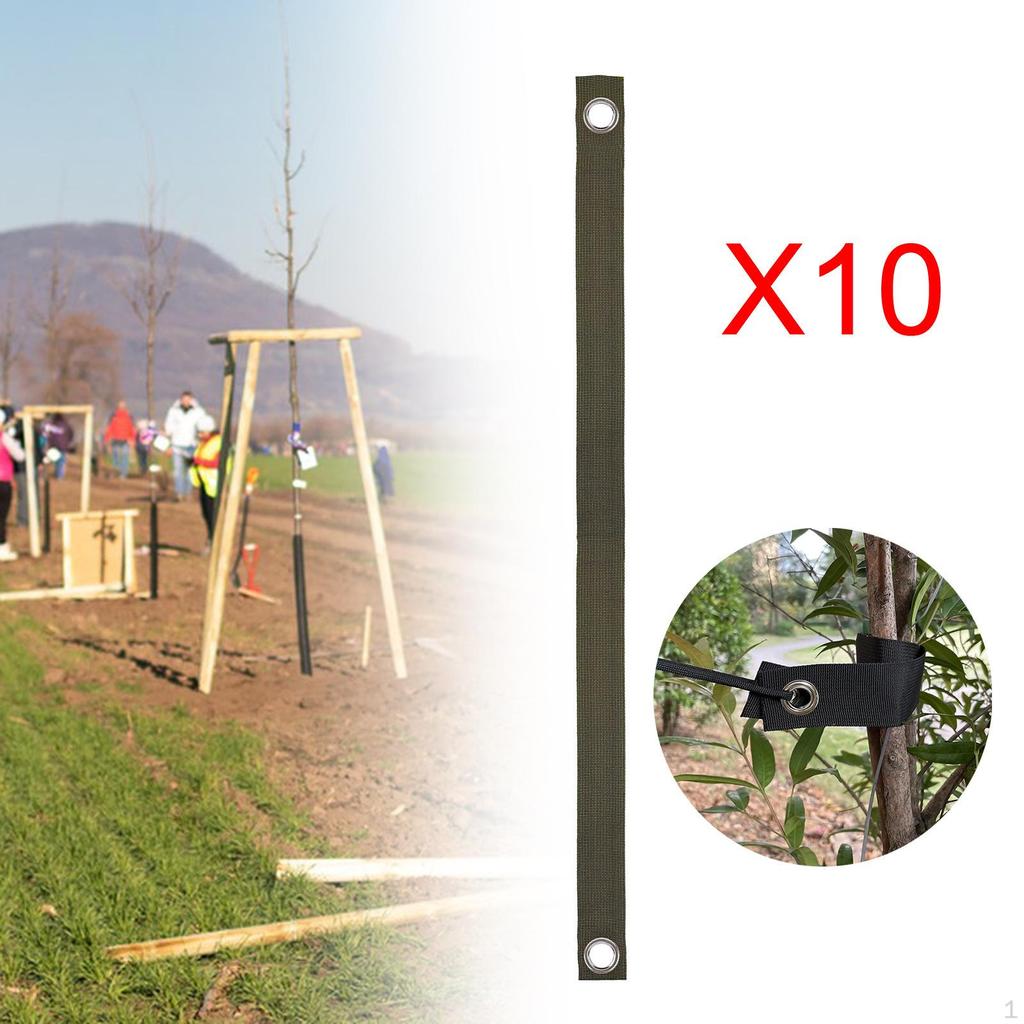 10 Pieces Tree Straps for Staking Straightening Ties Support Newly Planted