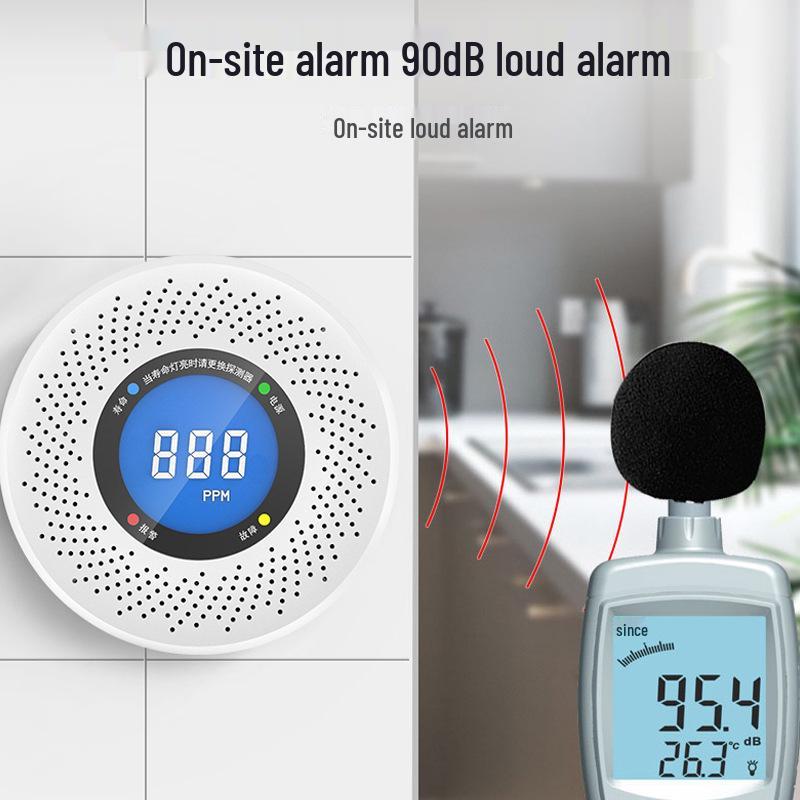 Carbon Monoxide & Smoke Detector for Home Heating Systems