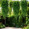 2pcs UV-Resistant Realistic Artificial Ivy Hanging Green Ferns Lifelike Decorative Leaves for Indoor Outdoor Wall Art Porch