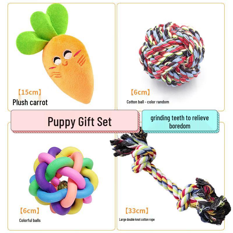 Puppy Squeaky Chew Toy Gift Set