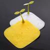 Drain Cover Household Small Bean Sprout Drain Silicone Sewer Deodorant Cover Toilet Bug Cover Bean Seedling Drain Mat