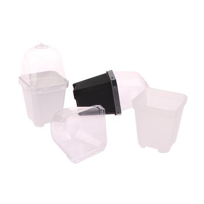 5Pcs Platz Kleine Blume Topf Mit Feuchtigkeit Dome Sämlinge Pflanzen Töpfe