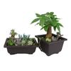 Plastic Succulents Balcony Home Decor Bonsai Pots Planters Garden Supplies Nursery Pots