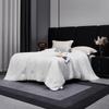 Mengjie Tussah Silk Blend All-Season Quilt