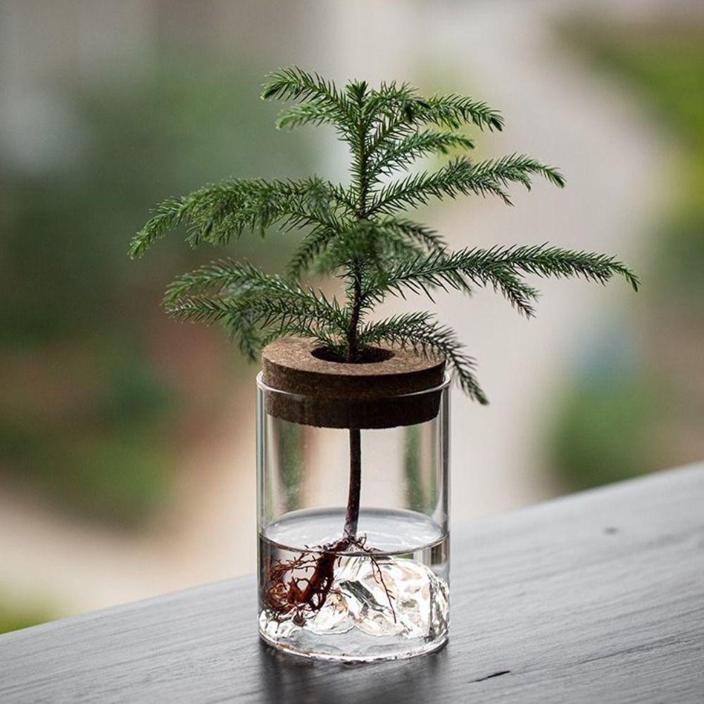Thickened Flower Vase Glass Flower Pot Micro Landscape Bonsai Mountain Viewing Bottle Home