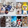 Huse pentru telefoane – Huse tip bumper pentru telefon
