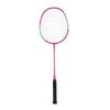 Hodtown HDW130901 Badminton Racket