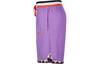 Nike Basketball Shorts Men's Purple AT3151-505