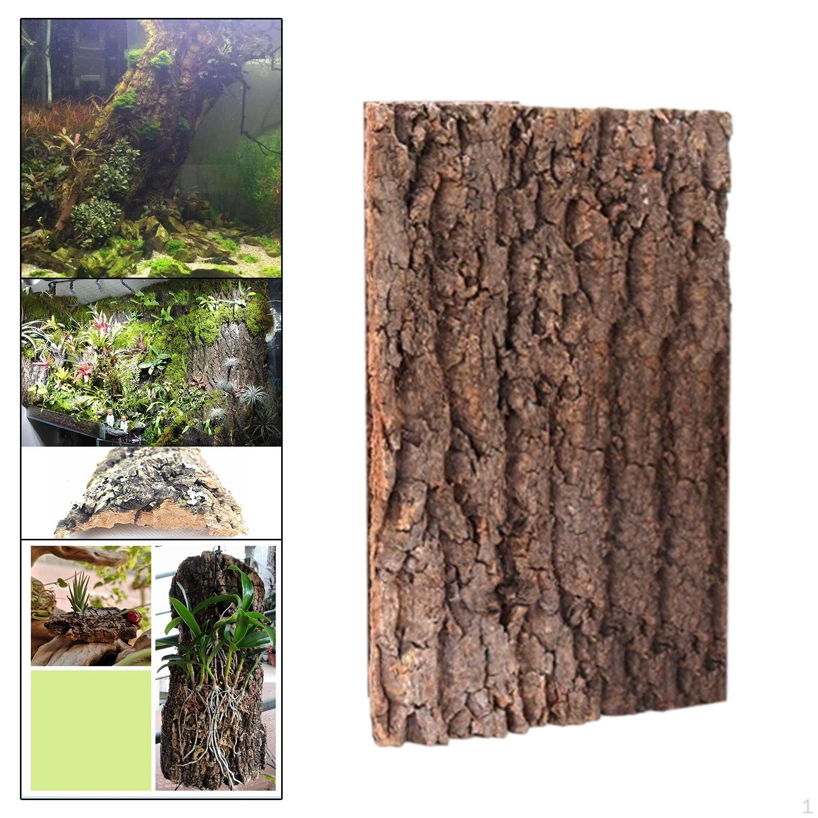 

Фон, украшение среды обитания, многоцелевой фон из пробковой плитки, коврик для лазанья для черепахи, бородатый 30cmx40cm