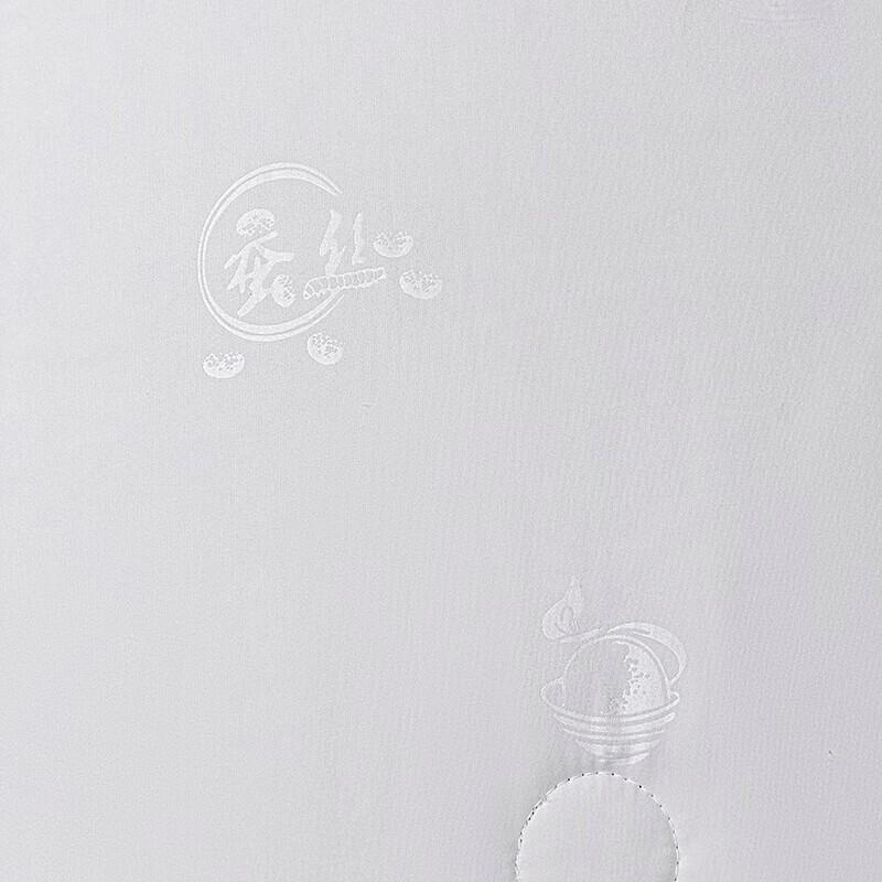 SOFTNIE Lanyue Ganzjahres-Polyesterfaser-Steppdecke