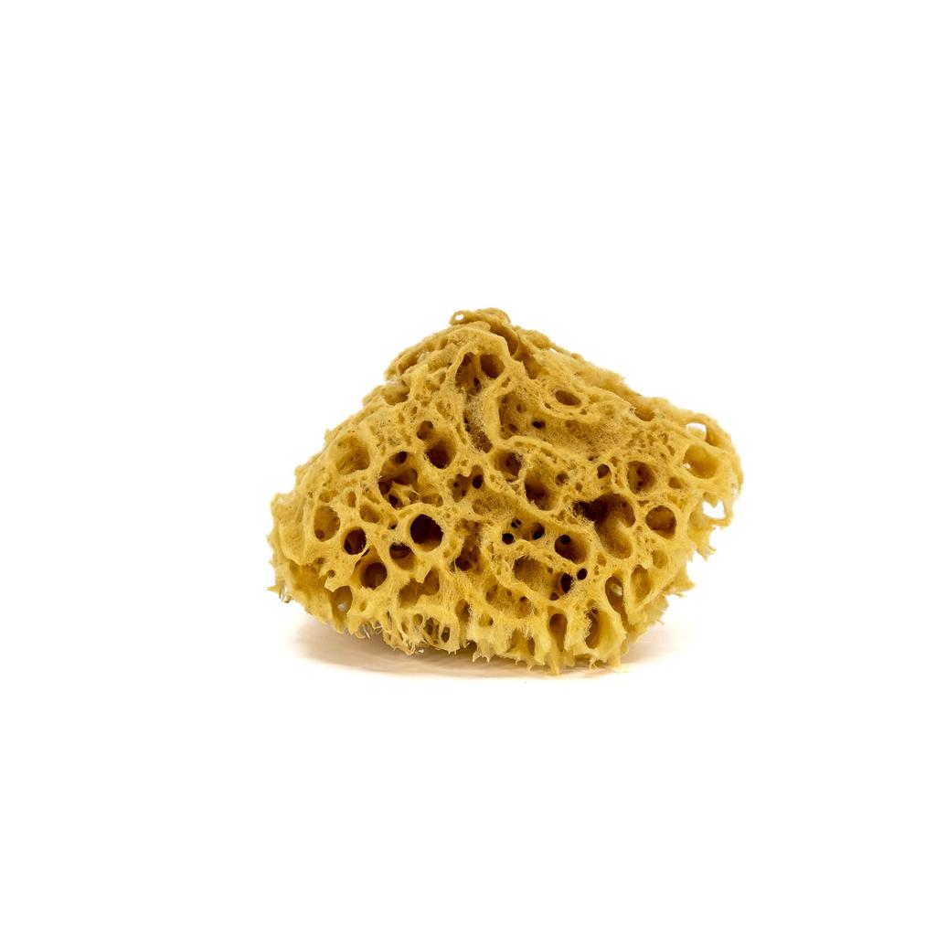 Gąbka do kąpieli - naturalna morska - rozmiar s 10-12cm