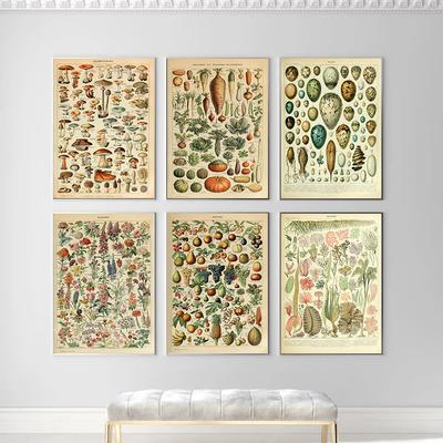Adolphe Millot Botanisches Poster Blumen Früchte Gemüse Eier Pilze Leinwandmalerei Wandkunst Leinwandmalerei Heimdekor