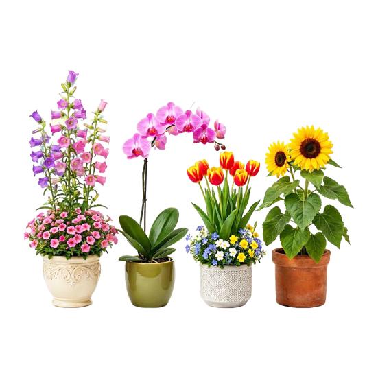 Fensteraufkleber Frühling Garten Design Doppelseitige Sichtbarkeit Elektrostatische Haftung Glasaufkleber Heim- und Geschäftsfensterdekoration