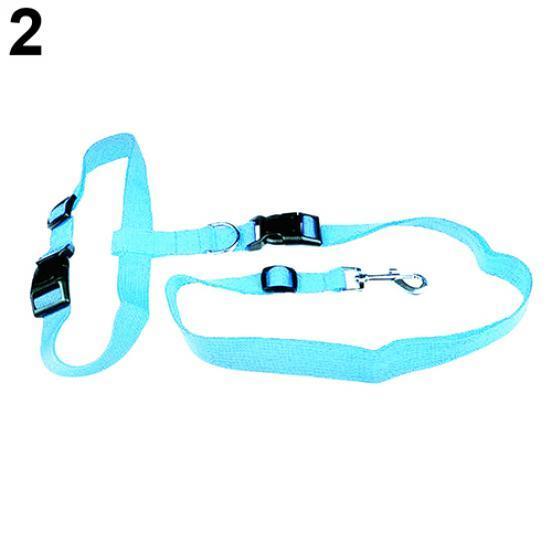 

Нейлоновый поводок для собак с регулируемым тяговым воротником. Длина ремня: 78-140 см. Цвета как на фотографии