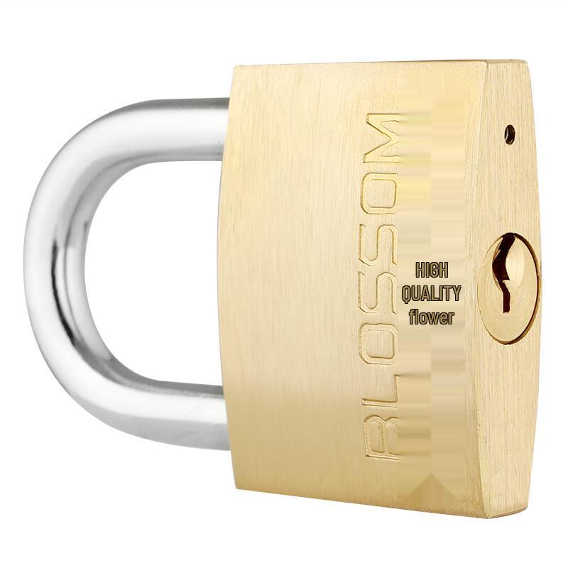 BLOSSOM Brass Padlock