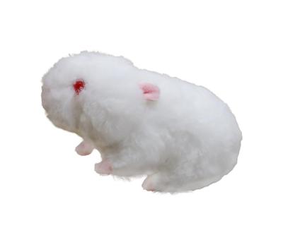 Takeoff Guinea Pig White