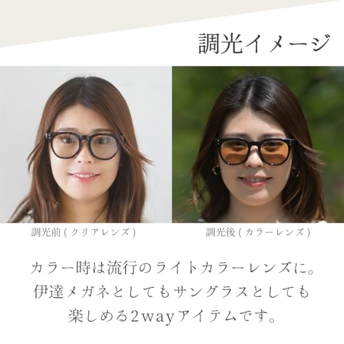 FEELLIFE Photochromic Sunglasses, Wellington, Gray, UV Protection, Blue Light Protection, Made In Sabae, PH5011-1