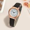 Exquisite Simple Ladies Dress Watch Retro Leather Female Clock Brand Ladies Fashion Mini Design Couple Watch Clock Watch Women