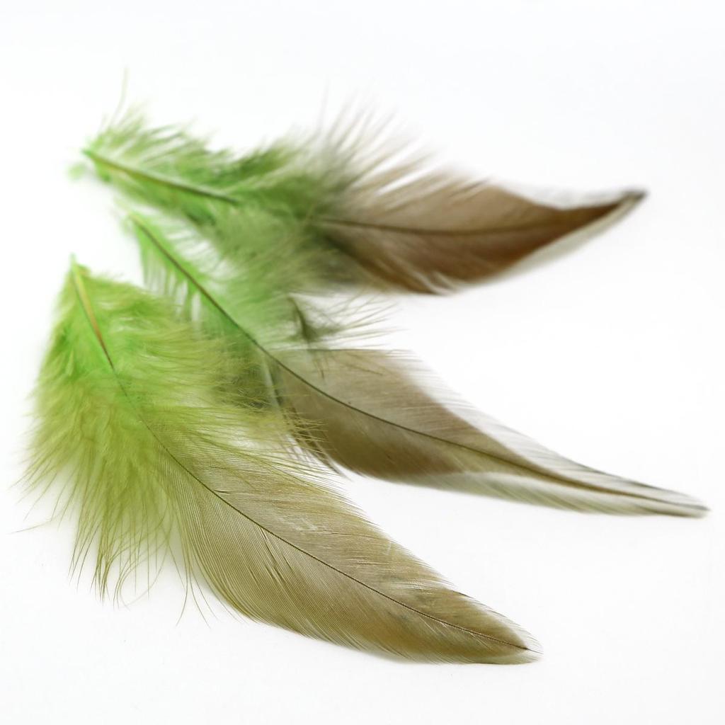 Plumes De Faisan Vert Naturel "amande" 4-7 Cm - France