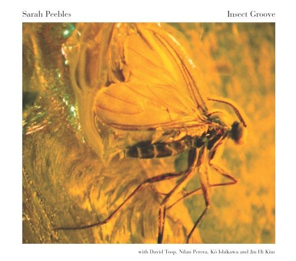 

CD SARAH PEEBLES - Insect Groove C74007 c74 2002 US Dance & Electronica Used