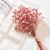 Decor Party Decorative Mini Small Natural Gypsophila Babysbreath Bouquet Dried Flowers Dry Flower