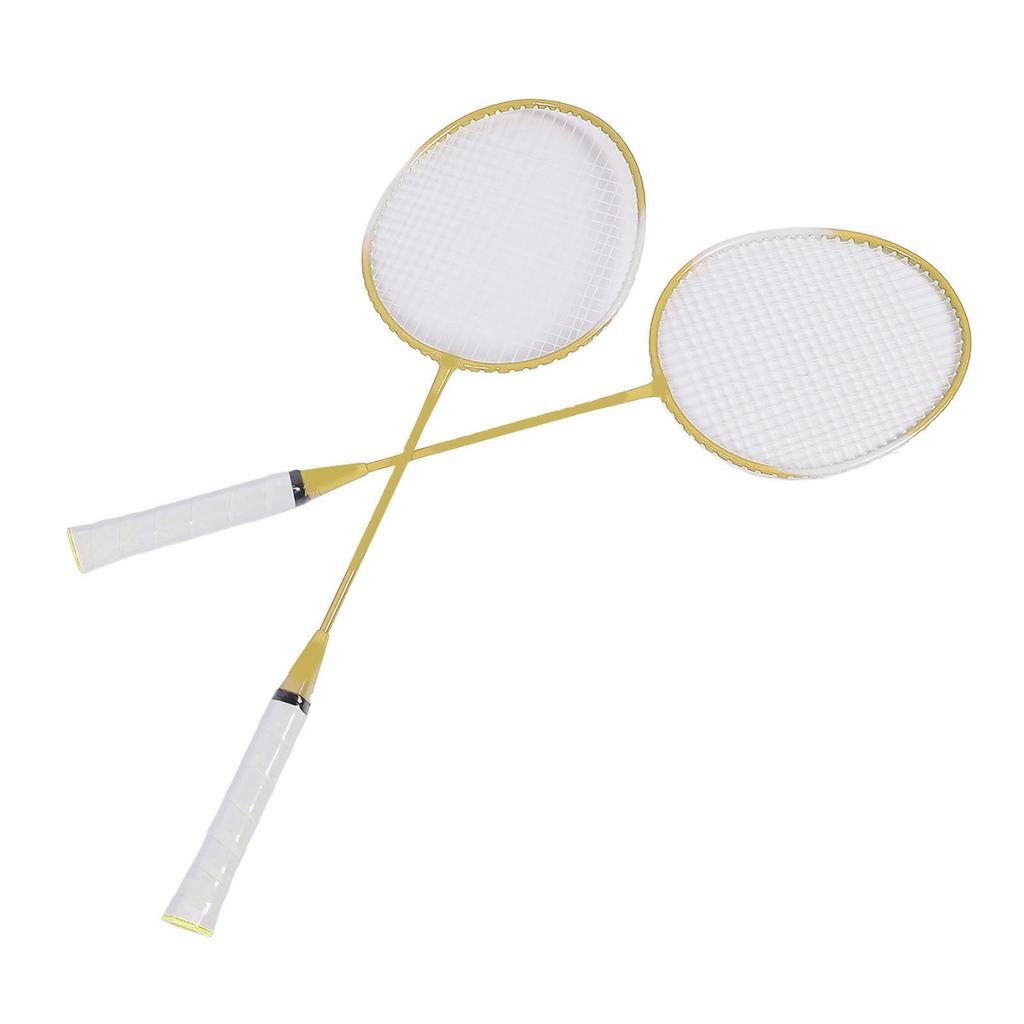 2 Player Badminton Set Low Vibration Strong Elasticity Iron Alloy Badminton Rackets Set with 3 Nylon Shuttlecocks Carry