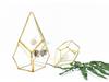 Geometric Glass Rhombus Greenhouse Ornament: European Wine Cabinet Micro Landscape & Preserved Flower Pot Craft
