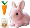 My Realistic Bunny Toy Lifelike Moving Rabbit Interactive Stuffed Animal Perfect Gift For Kids Realistic Bunny Toys