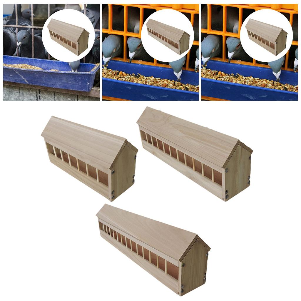 Pigeon Feeder Sturdy Backyard,Less Waste,Pigeon Supplies,Food Dispenser,Slot Container for Ducklings Birds Chicks Quails Pigeons