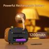 Retro Multi-Band Gramophone-Style Bluetooth Speaker with FM/AM/SW Radio.
