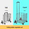 Portable Folding Trolley Cart for Package Pickup and Shopping, In Stock