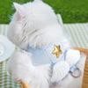 Pet Angel Harness + Leash (XL) (Sky)