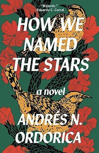 How We Named the Stars by Andres N. Ordorica Paperback Book 9781916812079