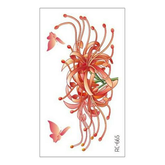 Waterproof Long-lasting Cute Peacock Feather Temporary Tattoo Stickers for Women
