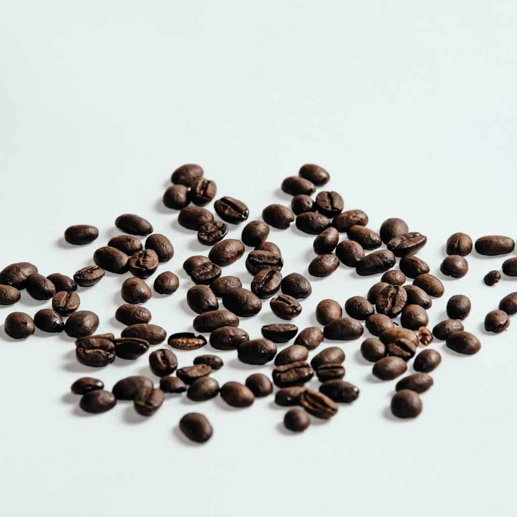 TOKYO COFFEE Sumatra Mandheling Coffee Beans, House-Roasted, Organic JAS Certified Coffee Beans (Whole Beans, 400g)