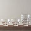 HARIO Heat-Resistant Glass Cups (Set of 5), MicrowaveOvenDishwasher Safe, 170ml, Made in Japan, HU-3012