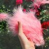 50Pcsdiy Color Feather Full Fleece Turkey Feather Clothing Antique Headdress Pet Toy Handicraft Decoration