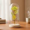 High Quality Wooden Eternal Rose Flower with Transparent Lampshade Exquisite Artificial Flower Simulation Roses Bridesmaid Gifts