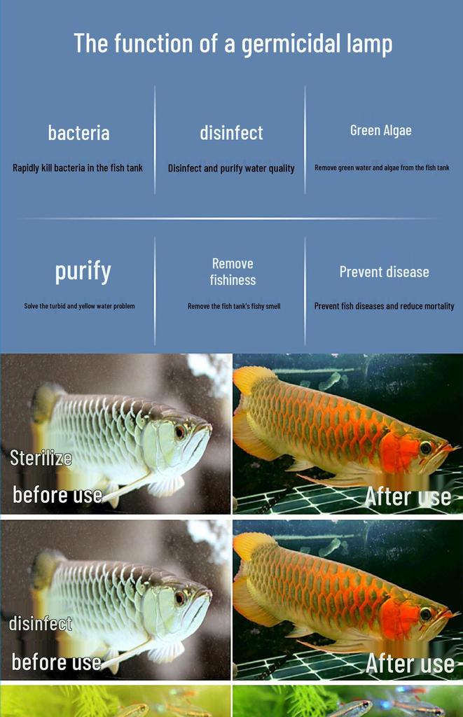 Cool Fish Smart Aquarium Pump with UV Sterilization and Timer for Algae Removal and Water Purification