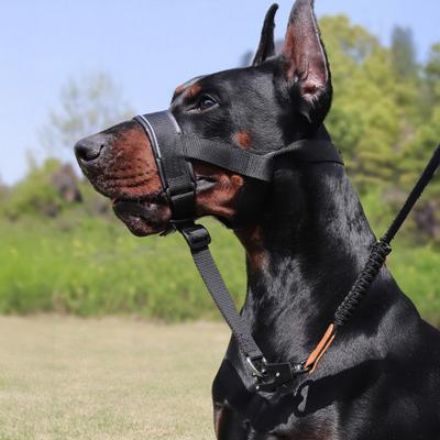 Hundekopfhalsband ohne Zug, Verstellbare Hundekopfhalfter mit gepolsterter Nase